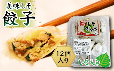おいしそ餃子