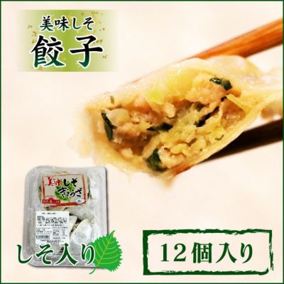  美味しそ餃子
